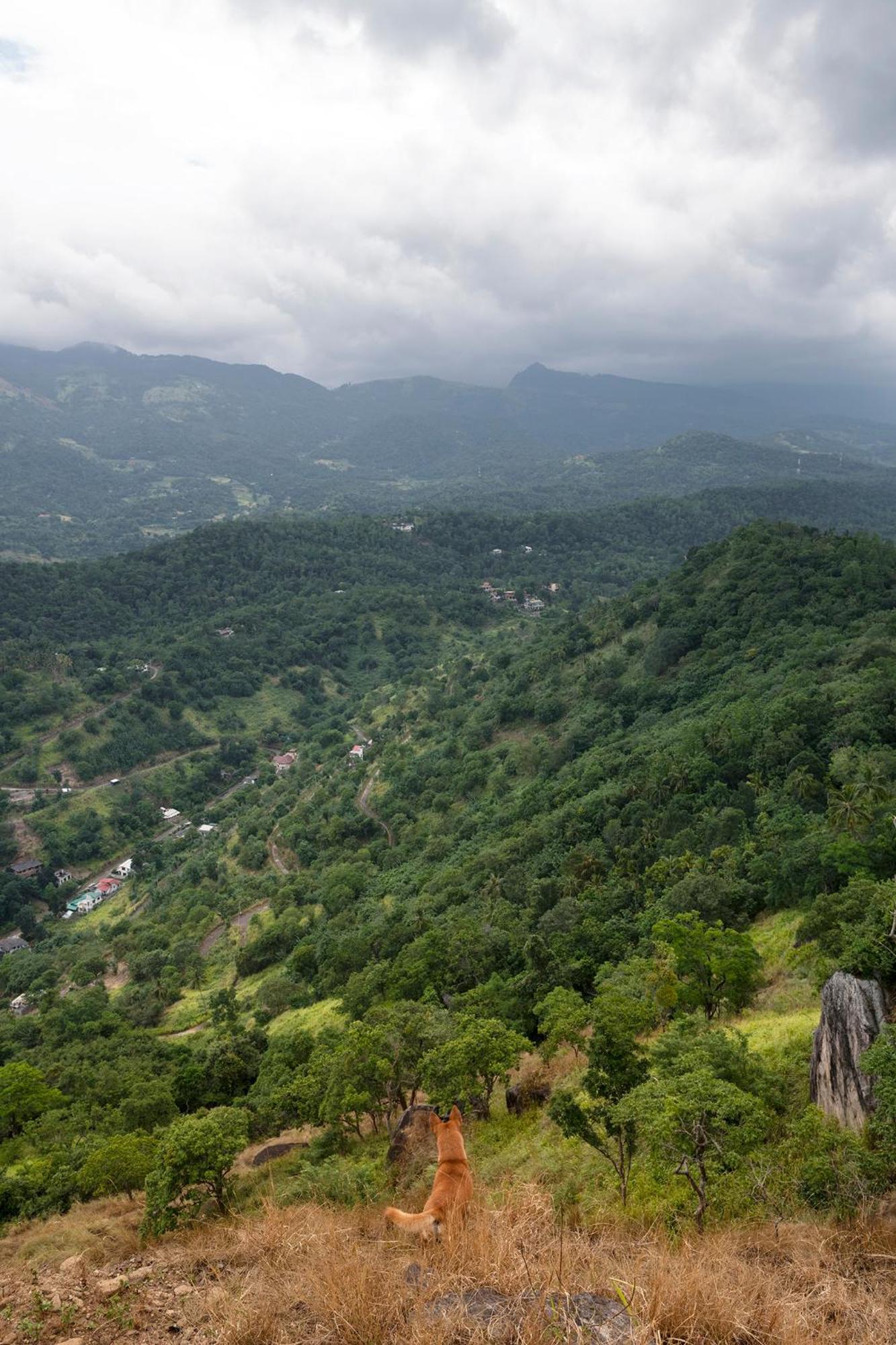 Kandy Victoria Eco Resort 외부 사진