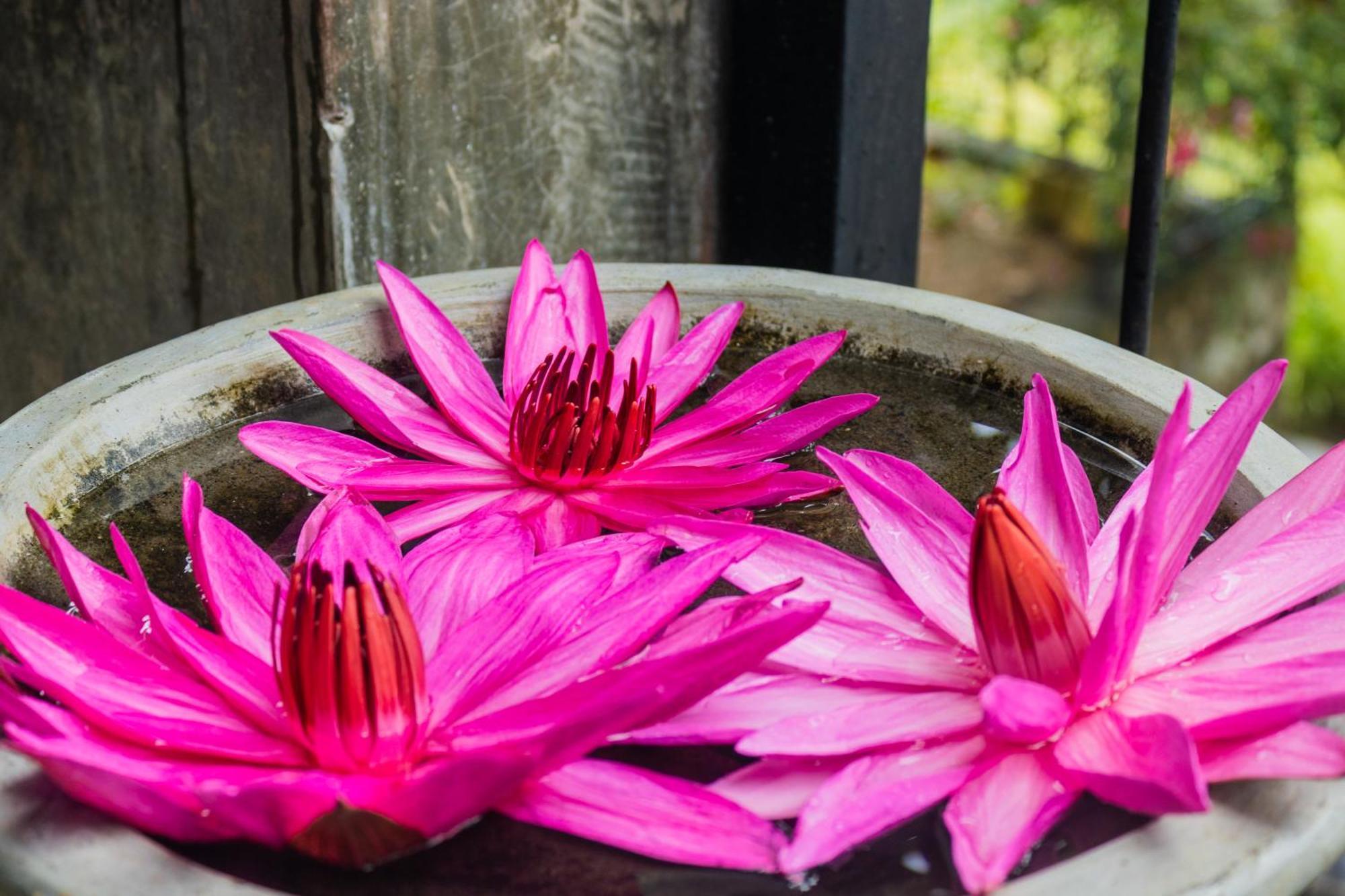 Kandy Victoria Eco Resort 외부 사진